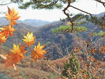 大唐不夜城门票价格详解，一场历史与现代的盛宴，大唐不夜城门票价格解析，历史与现代文化的璀璨盛宴